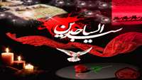 شهادت امام سجاد (ع) تسلیت باد.